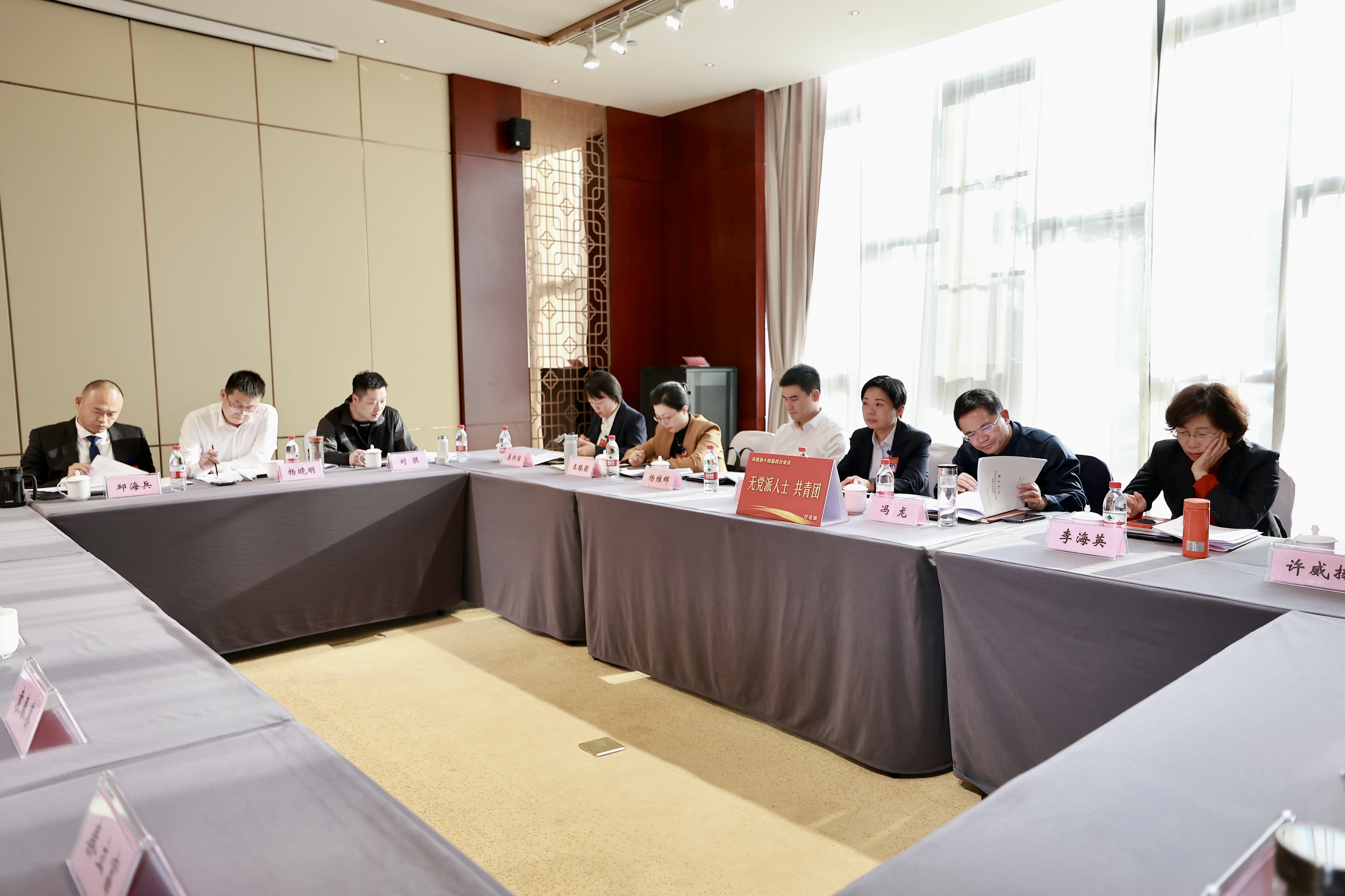 无党派共青团.jpg